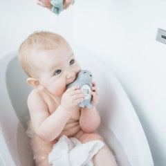 Angelcare Bath And Room Thermometer Seal