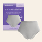 Lansinoh Postpartum Underwear Pack Of 4