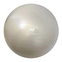 The Natural Birth & Fitness Ball 65Cm Silver