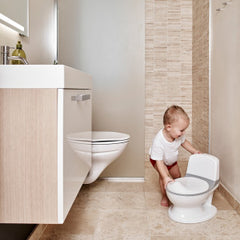 Baby Dan Home Potty With Flushing Sound