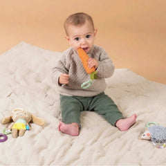 Taf Toys Activity Toys Kit
