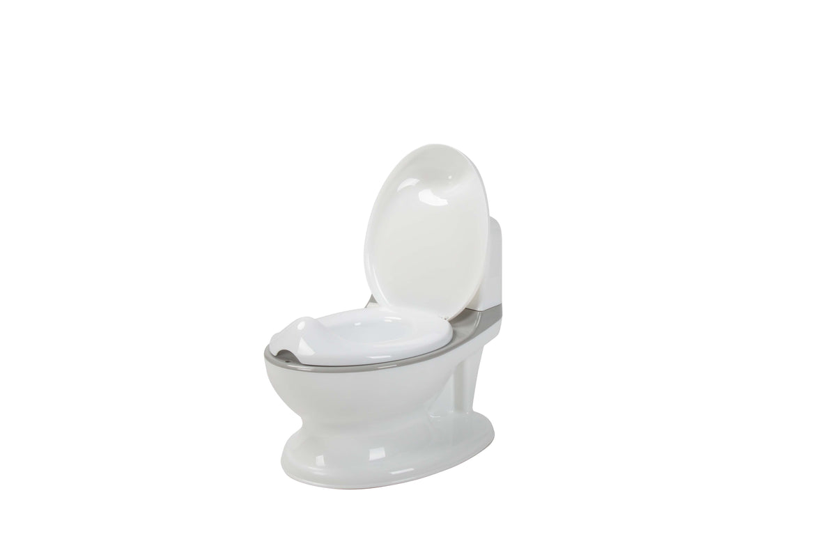 Baby Dan Home Potty With Flushing Sound