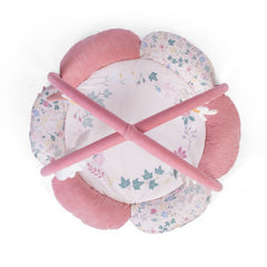 Red Kite Playtime Play Gym Rose & Ivy