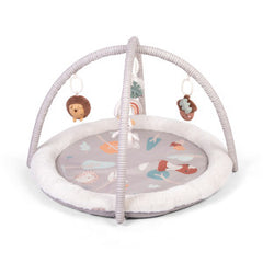Red Kite Playtime Play Gym Woodland Walks