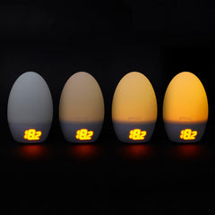 GroEgg2